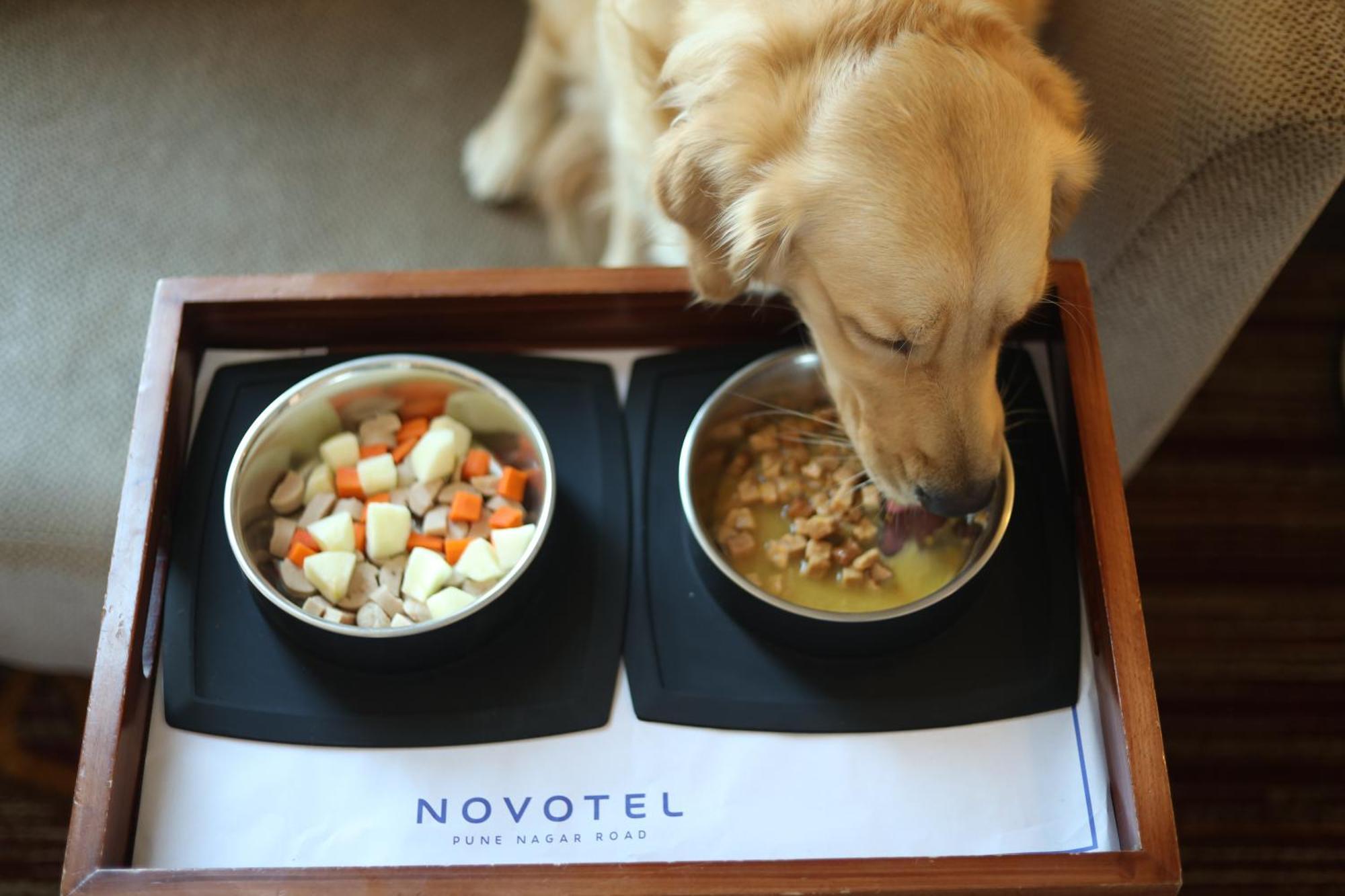Novotel Pune Viman Nagar Road Zewnętrze zdjęcie A dog eating dog food